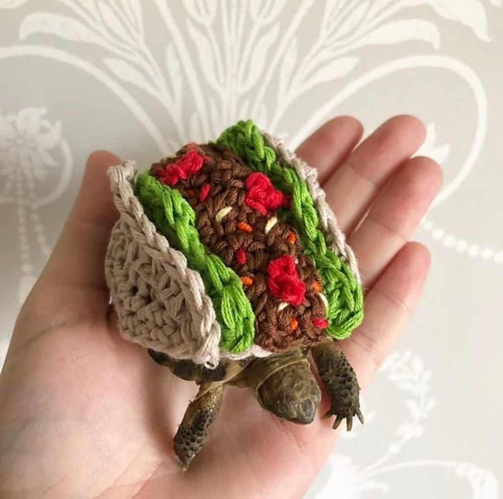 Taco Tortoise Cozy - Secret Santa Gift Under £10